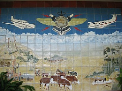 Cairns022 RFDS et pique-nique